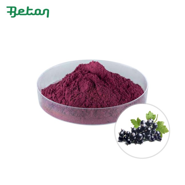 Freeze Dried Blackcurrant Powder