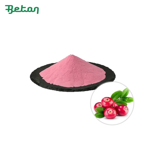 Organic Cranberry Extract Powder