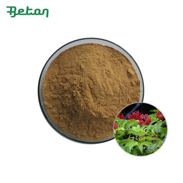 Pudră organică de extract de soc