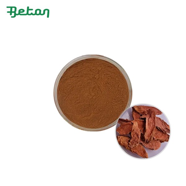 Organic Rhodiola Rosea Extract Powder
