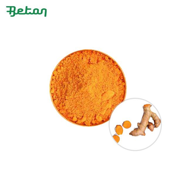 Organic Turmeric Curcumin Powder