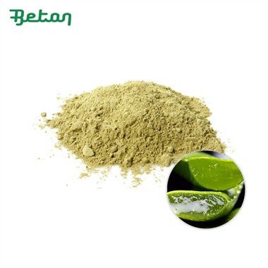 Pudră organică de Aloe Vera