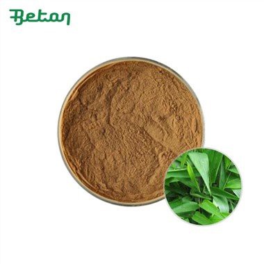 Pudră organică de bambus