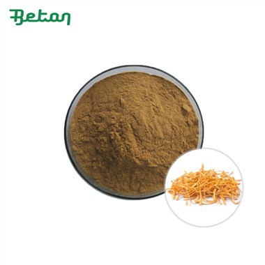 Pudră organică de ciuperci Cordyceps