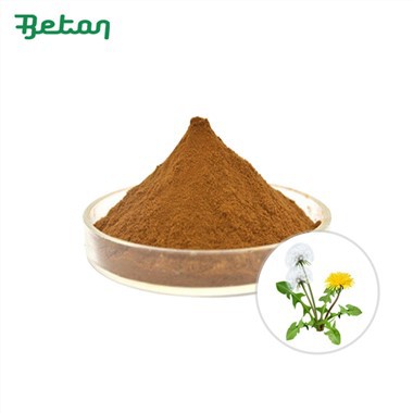 Pudră organică de extract de rădăcină de păpădie