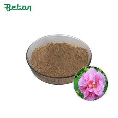 Pudră organică de frunze de hibiscus