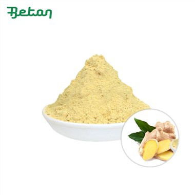 Pudră organică de ghimbir crud