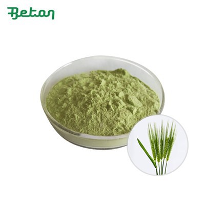 Pulbere organică de iarbă de orz