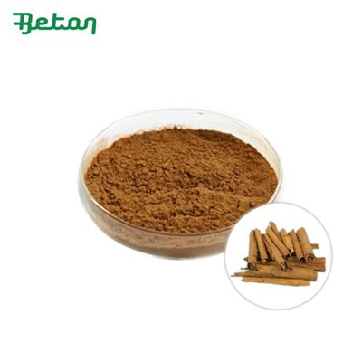 Pudră organică de scorțișoară de Ceylon